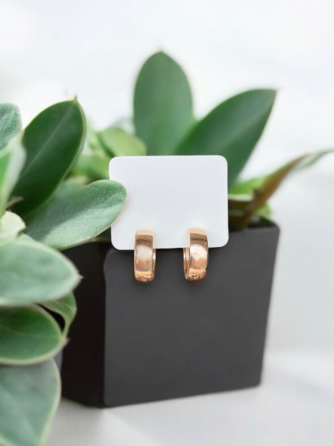 AUSKARAI "WILL" Sija style