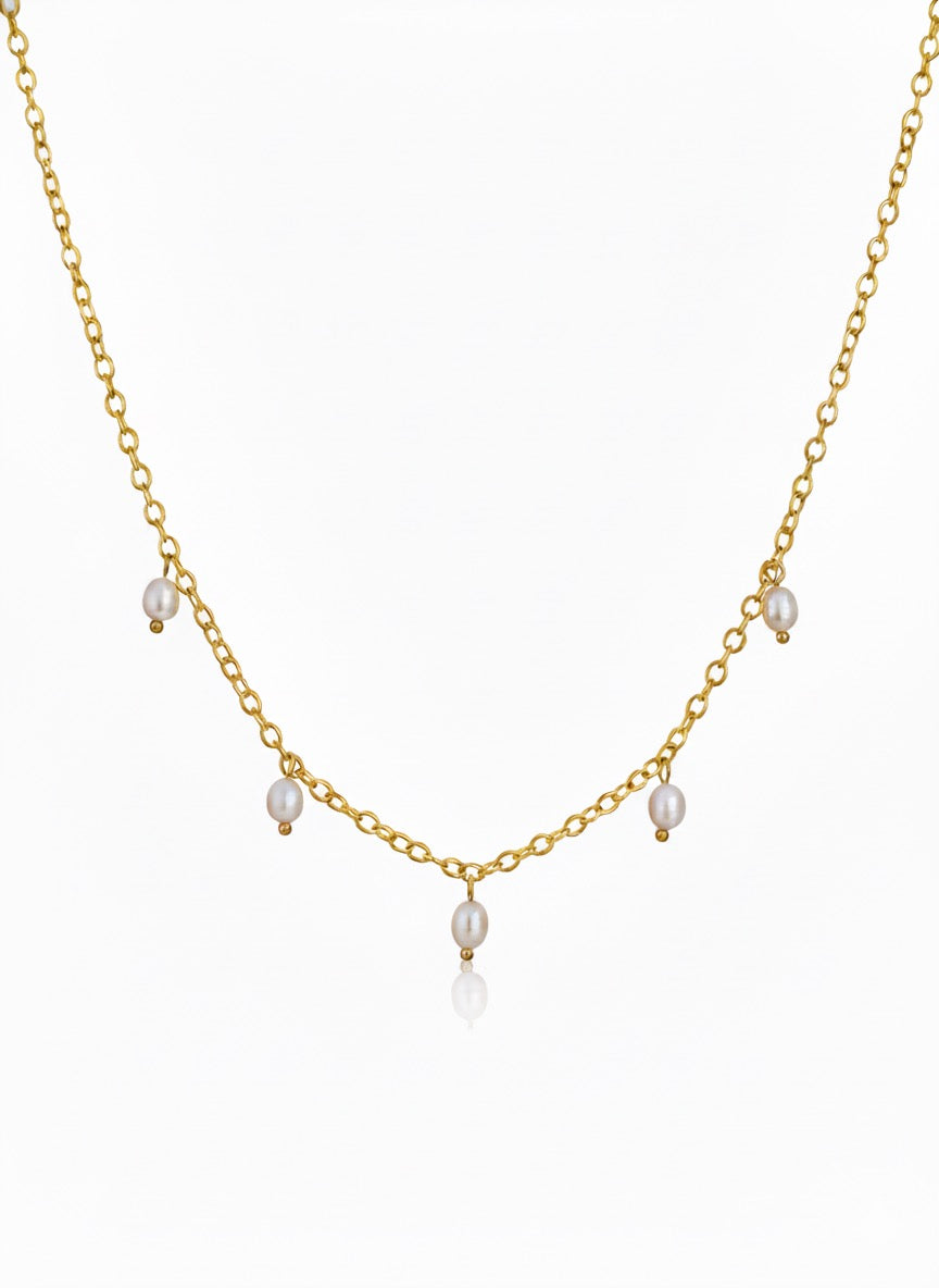 PAAUKSUOTAS VĖRINYS "LELYJA"