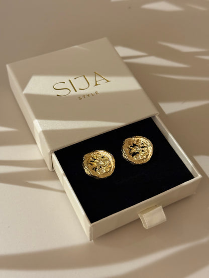 PAAUKSUOTI AUSKARAI "SOUL"