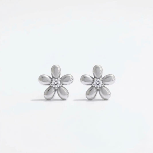 AUSKARAI VINUKAI "ŽIBUTĖS"