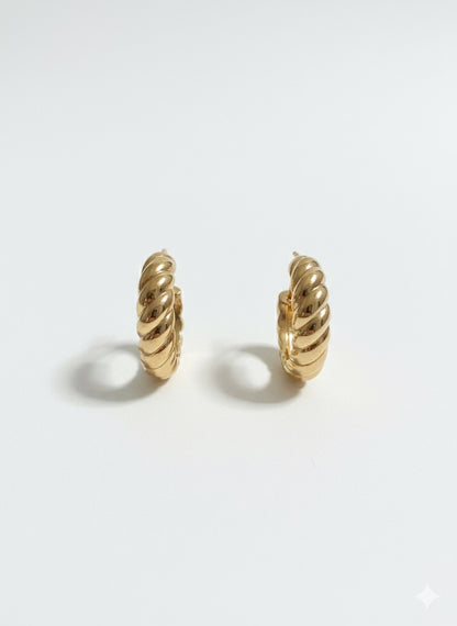 PAAUKSUOTI AUSKARAI "DEIZI"