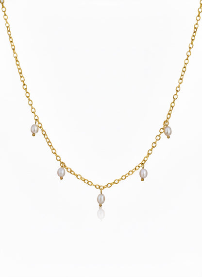 PAAUKSUOTAS VĖRINYS "LELYJA"