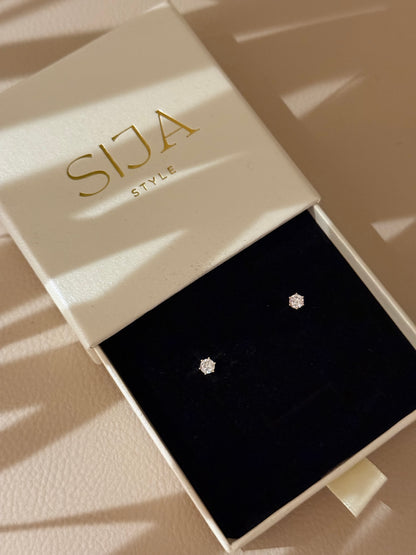 PAAUKSUOTI AUSKARAI "RASOS LAŠAI"