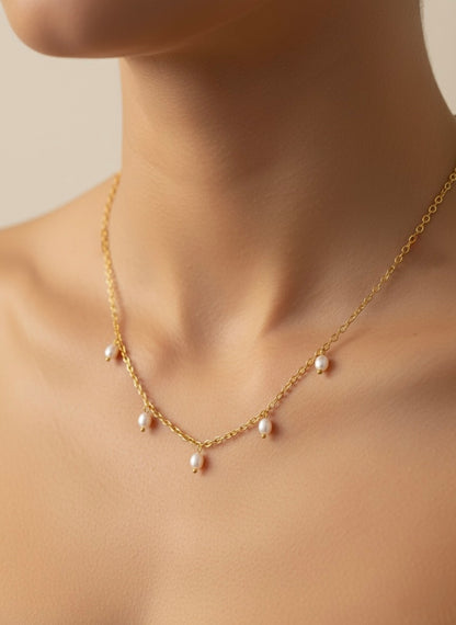 PAAUKSUOTAS VĖRINYS "LELYJA"